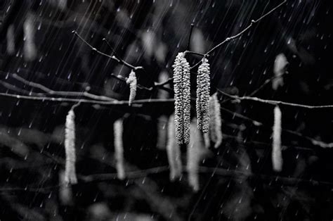 Die wetter übersicht für madrid finden sie hier. In der neuen Woche regnerisch und wenig frühlingshaft