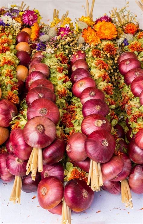 Blz für die banken in weimar: Zwiebelmarkt in Weimar - Radisson Blu Hotel Erfurt