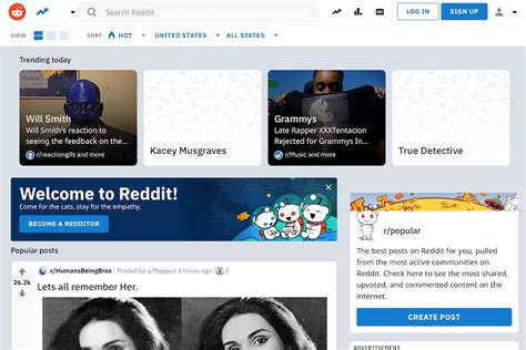 Reddit describes itself as the internet's front page. Reddit Raises $300 Million At A $3 Billion Valuation