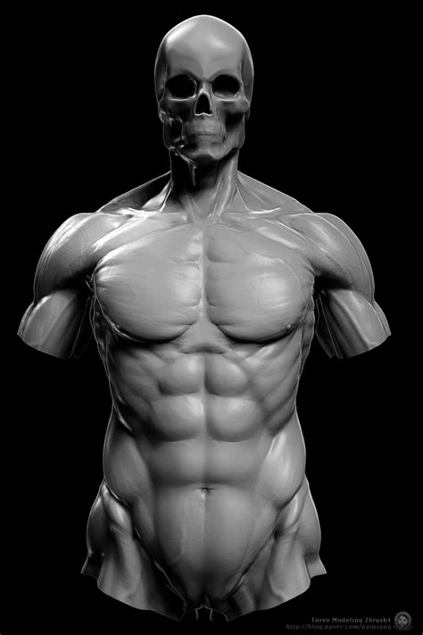 #digital 3d #anatomy #character design #character modeling ##character ##zbrush ###anatomy ##male ##muscles. Human Anatomy 3D Sculpting Videos in Zbrush by Painzang ...