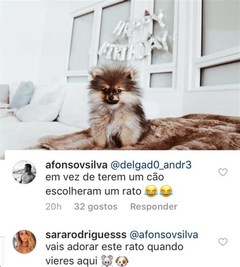 What is this message about? André Silva celebra mais um aniversário em Milão e em boa ...