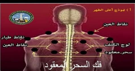 تعد الحجامة من الأدوية التقليدية التي انتشرت شعبيًا قديمًا واستمرت عبر الأجيال وهي عبارة عن فصد وإخراج الدم الفاسد من الجسد وتجديد الدورة. الحجامة وتأثيرها على العيــــــن والســــحر والجـــــــن ...