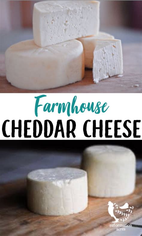 Cheese from camel milk is more difficult to make than cheese from the milk of other dairy animals.6 it does not coagulate easily and bovine rennet fails to coagulate the milk effectively. Farmhouse Cheddar Cheese | Recipe | From Reformation Acres ...