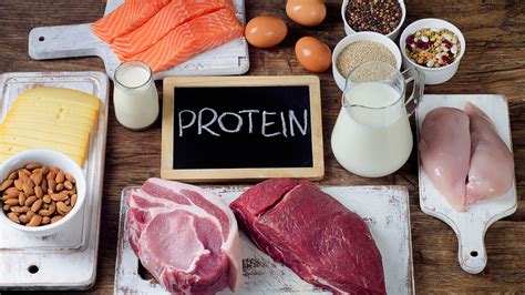 Check spelling or type a new query. Apa Itu Diet Tinggi Protein dan Menunya - Okadoc