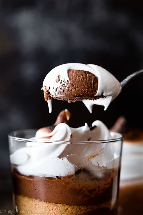 A drizzle of homemade salted caramel sauce takes this already delectable treat to the next level. How to make fluffy and rich s'mores chocolate mousse with ...
