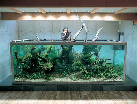 His interest in aquaria led him to create the japanese company aqua design amano. Takashi Amano Dies at the Age of 61