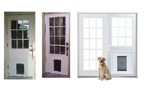 We cover auckland with 35 years experience installing pet doors in windows, doors and walls. pet doors pre-installed | Door Designs Plans | Door ...