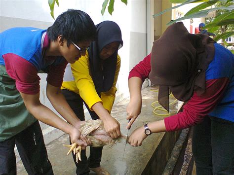 Pertama, makanan halal iaitu bukan barangan yang diharamkan atau didapati melalui. Celoteh Saya: Perjalanan hidup bersama Diploma ...