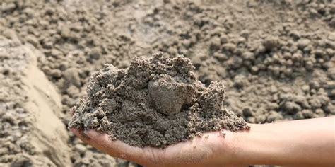 Gula pasir adalah komoditas harian yang penting bagi kehidupan. Harga Pasir Bangunan Per Truck/ Colt Murah Oktober 2020