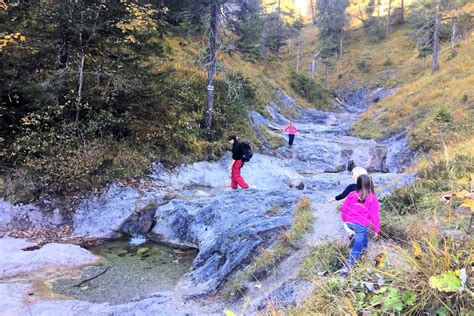 Zur navigation springen zur suche springen. Hochalm am Sylvenstein - Kreuth - KiMaPa