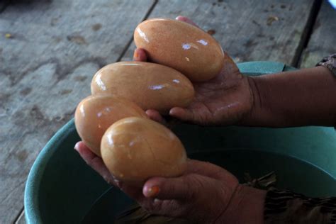 Khasiat telur ayam laki laki. Telur Maleo Sebagai Ritual Adat, Begini Tanggapan Aliansi ...