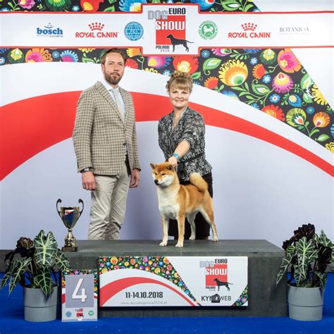 A fascinating game awaits between two. Results Euro Dog Show Warsaw - Sunday 14 October 2018 ...