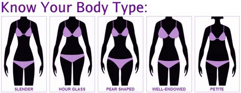 At 177.9 lbs, the average body mass in north america is the highest of any continent worldwide, according to fat is spread around a person's body but not all types of fat are equal. Dresses for large hourglass figure, slim body type workout ...