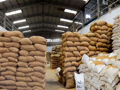 We gove the services @ same day. Warehouse Fumigation Services in Pune - Biochem Pest Control