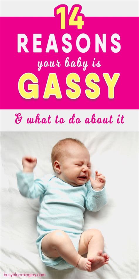 Common foods that cause gas in breastfed babies common trigger foods that upset babies stomaches while breastfeeding are; Got a gassy baby? 16 Common causes & remedies to fix them ...