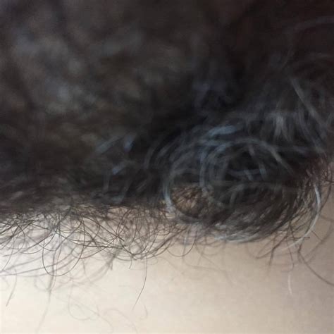 Here's what causes pubic hair to turn gray and which factors, such as your stress even though going gray down below is part of mother nature's plan, that doesn't mean you have no say in the process. Christen Clifford