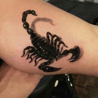 This zodiac sign signifies the people who were born from october 24th to. Pin on Scorpion tattoos