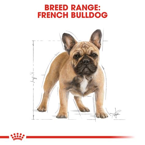 Supports your dog's skin's barrier role and maintains good skin health. ROYAL CANIN® French Bulldog Adult 9kg - Superpet Warehouse
