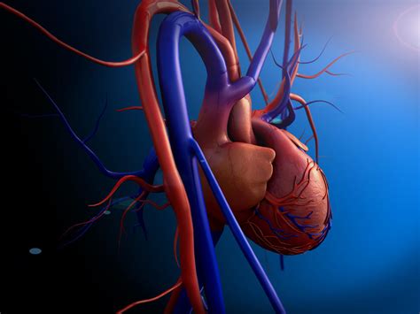 Myocarditis is an acute inflammation of your heart muscle, usually caused by a viral infection. Maladie cardiaque : qu'est-ce qu'une myocardite