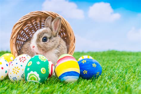 Un lapin peut devenir une sorte de talisman pour votre maison. Légendes de Pâques : pourquoi des oeufs, des cloches et ...