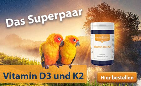 Dazu zählen insbesondere ältere und bettlägrige patienten, die nur noch selten das haus verlassen. Vitamin D - Die richtige Einnahme | Vitamine, Vitamin a ...