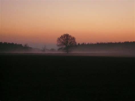 Critical reviews of the garden of evening mists were mostly favourable. Evening Mist rolls in from Farley Moor © Alan Heardman ...