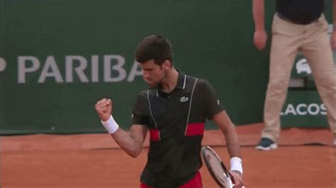Added 5 years ago anonymously in action gifs. Novak Djokovic Sport GIF by Tennis Channel - Find & Share ...