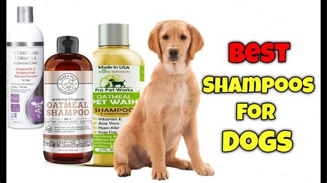 Check spelling or type a new query. 10 Best Dog's Shampoo || Which is best brand shampoo and ...