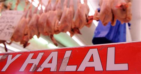 For instance, a set of rulings has been given for land animals, sea creatures in sunni islam. Councillor lambasted for suggesting eating halal meat ...