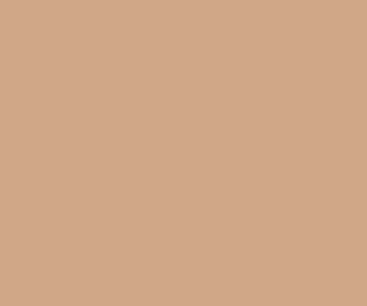Found 8 paint color chips with a color name of brown beige sorted by year. #d0a888 hex color code/light orange(brown)/light orange