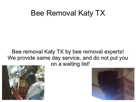 It offers tiered programs that provide different amounts of coverage and address needs for termite and mosquito control. Bee Removal Katy TX Bee removal in Katy TX done by Experts ...