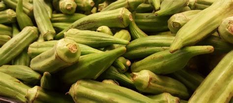 Jarak pengasingan yang dianjurkan adalah 500 m atau lebih. 4 Manfaat Kesehatan dari Buah Okra | ResepKoki