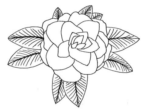 Shop for ohia lehua art from the world's greatest living artists. Hawaii Flower Drawing at GetDrawings | Free download