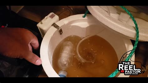Maybe you would like to learn more about one of these? How To Keep Minnows Alive Longer | The REEL Pastor - YouTube