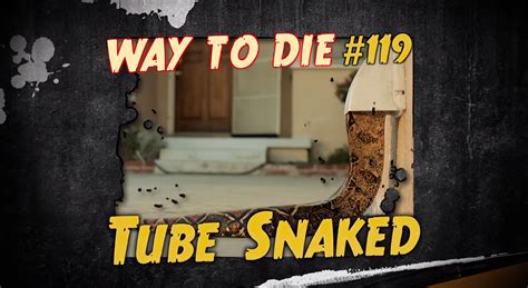 Here's the most unbelievable deaths on the show. Tube Snaked | 1000 Ways To Die Wiki | Fandom