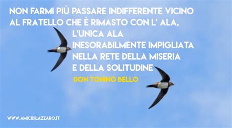«don tonino incoraggia ogni persona a incontrarsi con dio». Compagni di volo (Don Tonino Bello)