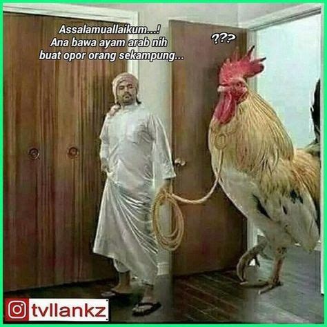 Maybe you would like to learn more about one of these? 12 Meme Ayam Paling Gokil dan Kocak yang Bikin Ngakak ...