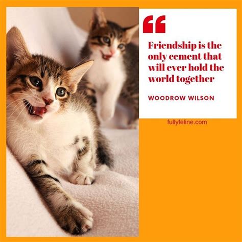 Following is a list of the topmost famous cute friendship quotes, you can share them with your friends to let them know how strong is y. True! #friendship #quote #quoteoftheday #inspiration # ...