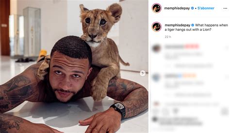 This week, it was the turn of former united winger and lyon star memphis depay's 'heart of a lion'. Polémique autour de Memphis Depay après ses photos avec un félin | CNEWS
