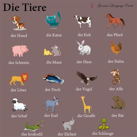 Interesting & effective german lessons for beginners to advanced. Die Tiere- The Animals in 2020 | German language learning ...