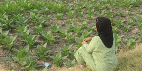 Berbekal kepercayaan konsumen, kami mempunyai komitmen untuk terus melakukan inovasi dan selalu memberikan hasil yang terbaik. Produk Tembakau Bojonegoro dan Kebudayaan Masyarakat - Jurnaba