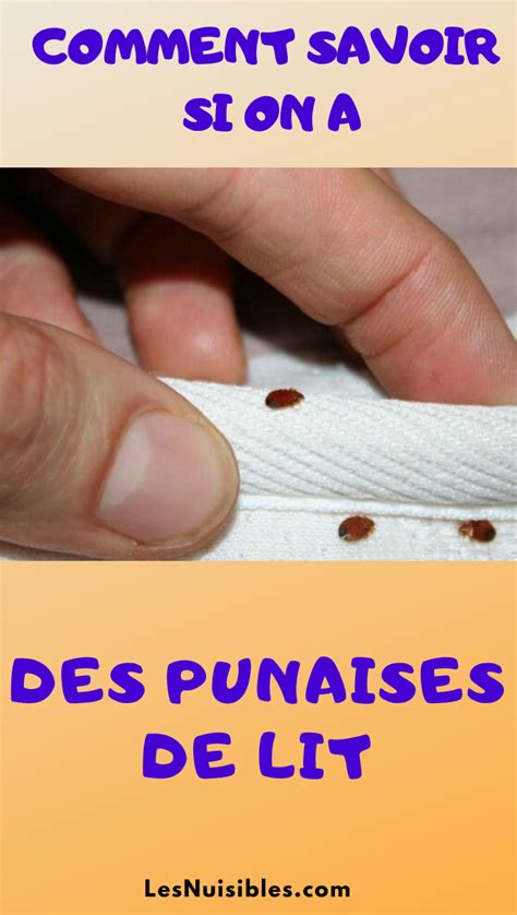 Check spelling or type a new query. Comment savoir si on a des punaises de lit | Punaises de ...