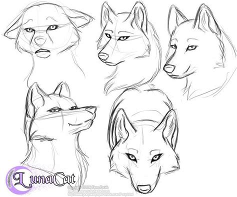 Draw a circle at the one end of the bean, this will be the head. Practice wolf heads again by FlyingPony | Drawings, Manga ...