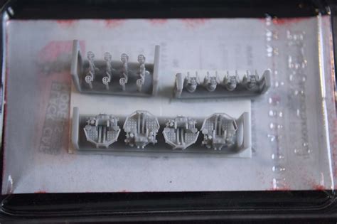 Black Cat Models Review