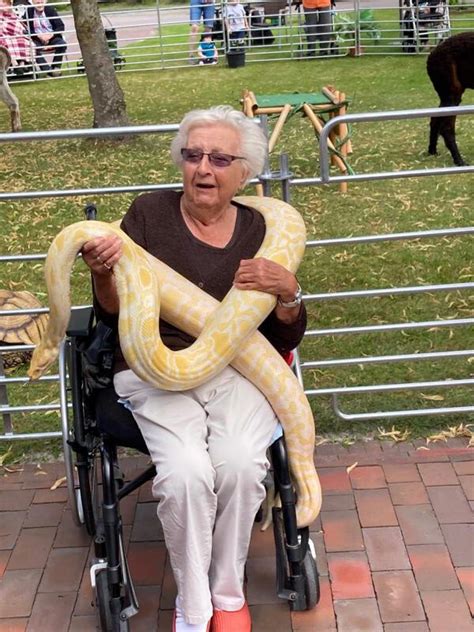 Bitte wählen sie ihre zieleinrichtung aus. Tränkler´s Rollender Zoo besucht unser Haus am Königsmoor ...