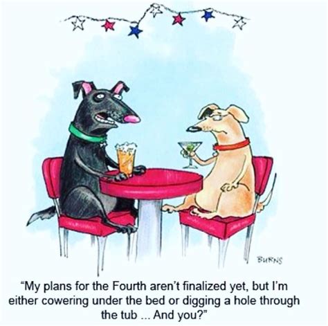 The federal holiday commemorates the signing of the declaration of independence on july 4th 1776 when congress declared that america was no longer under british rule. Canine perspective 4th of July. | Dogs and fireworks, Dog comics, Dog quotes