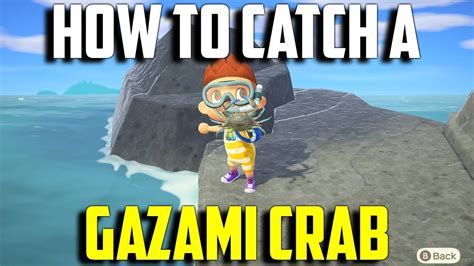 While new horizons undeniably has the best fashion items and dressing interface of the franchise, there are plenty of customizable patterns. How to Catch a Gazami Crab | Gazami Crab Animal Crossing ...