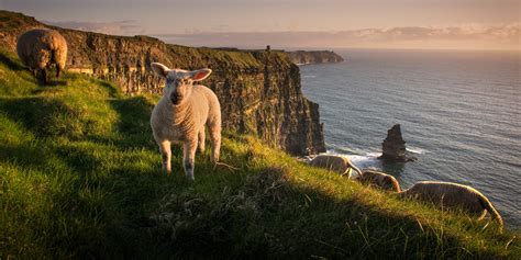 Official website of tourism ireland for visitors to the island of ireland. Írország időjárás - Betonszerkezetek