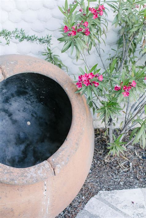 You can find cookware pots there.its cheap there compared to the remaining locations. Flowers near a clay pot. | Bird bath, Shabby chic, Outdoor decor