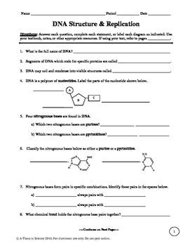 Answer each question, you do not need complete sentences. Dna replication practice worksheet answer key pdf
